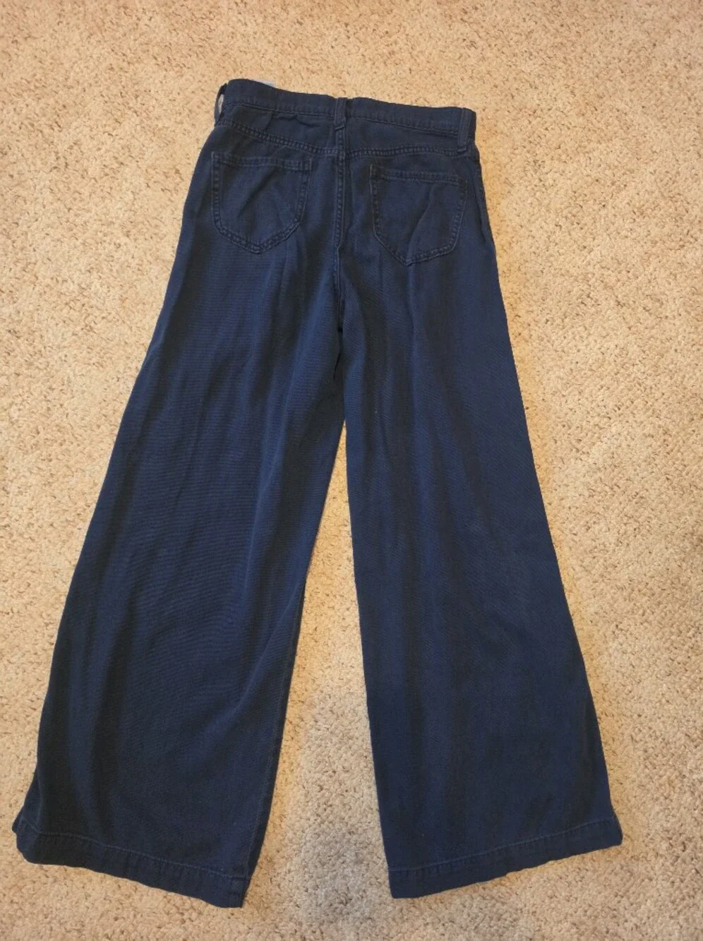 Banana Republic Wide-Leg Navy Chinos